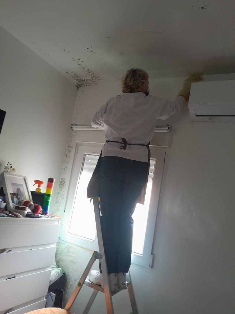 Empresa de limpieza de moho de paredes y techos en Madrid