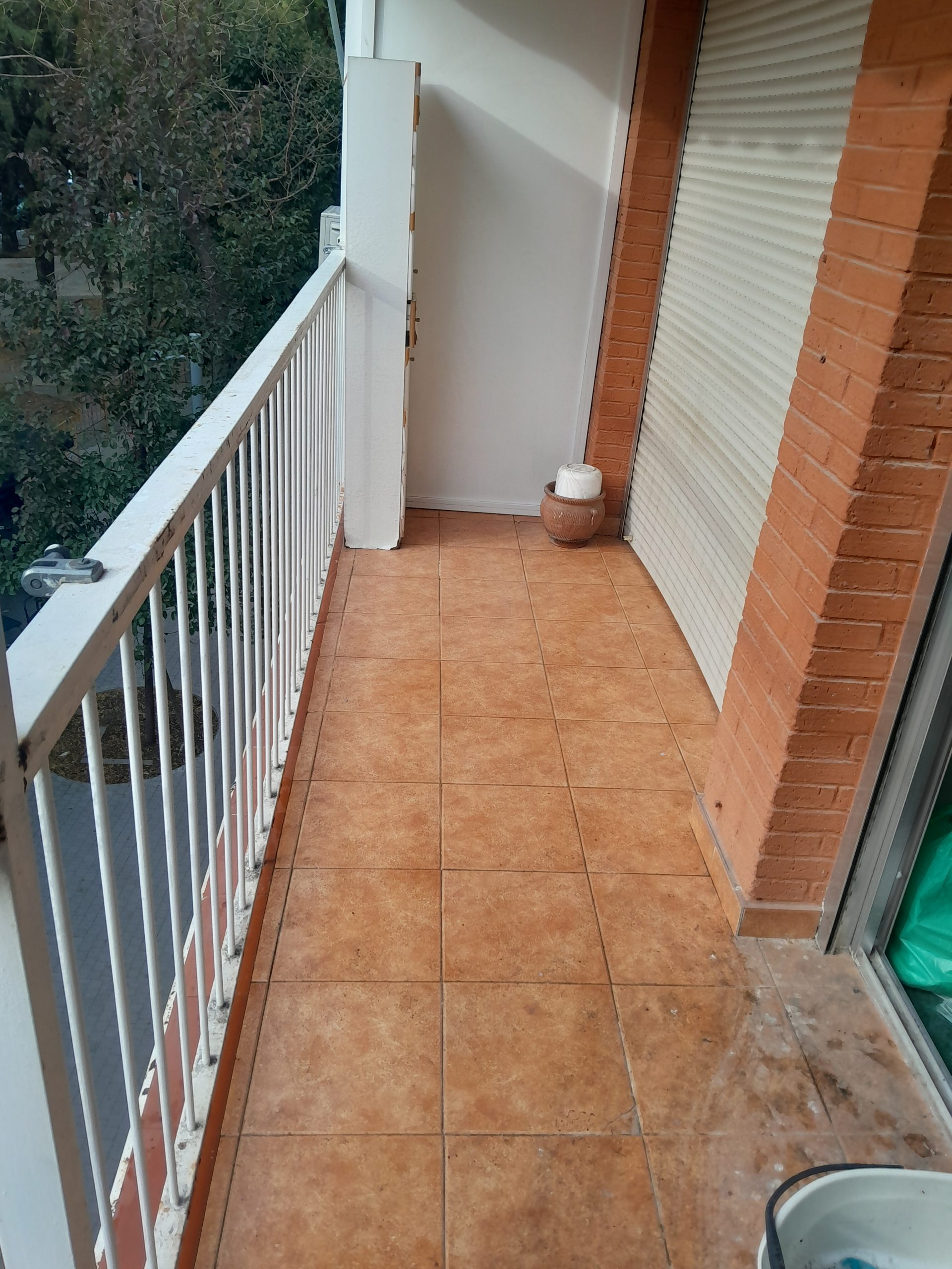 Servicio limpieza cacas de palomas en Madrid