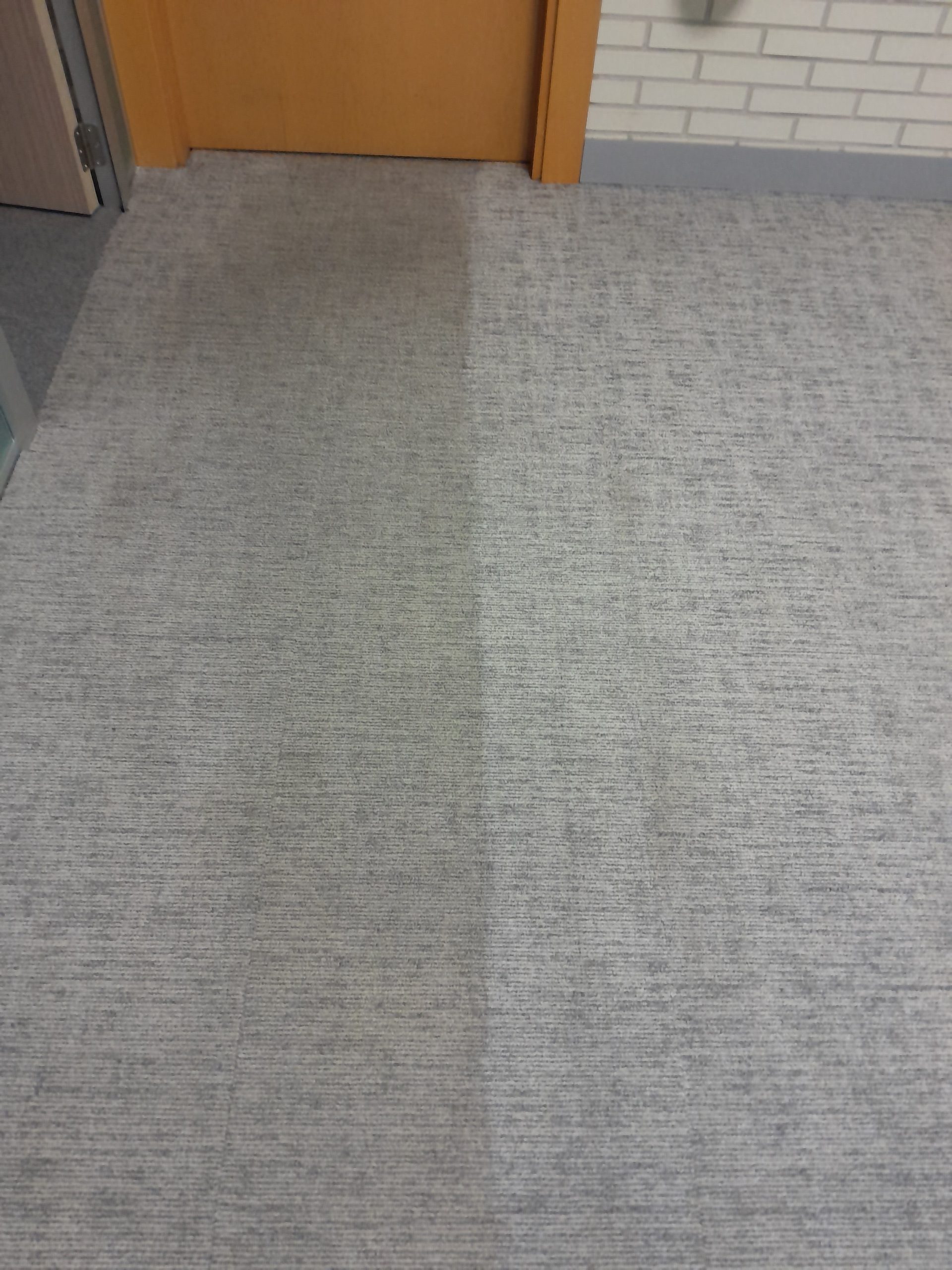 Eliminacion de acaros y bacterias de moquetas en Madrid