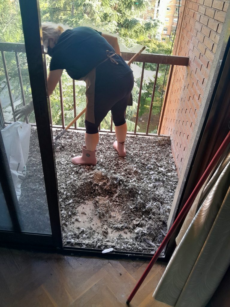 Empresa desinfeccion excrementos de aves . Limpiezas Norma