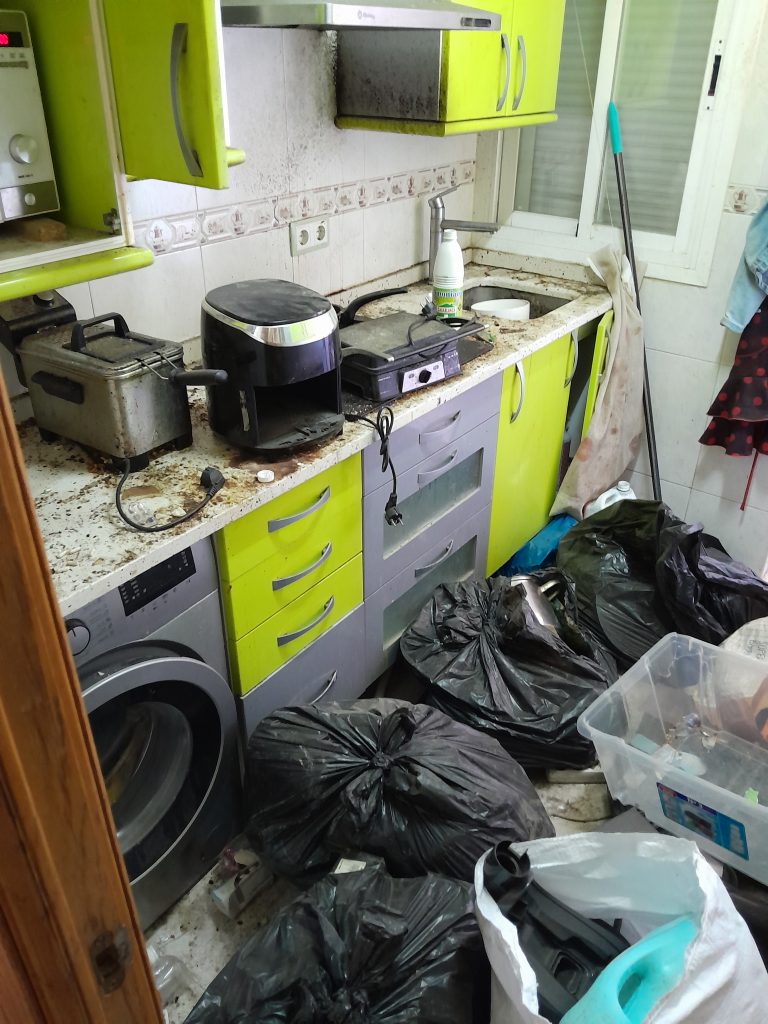 Servicio limpieza integral de chalets en Madrid