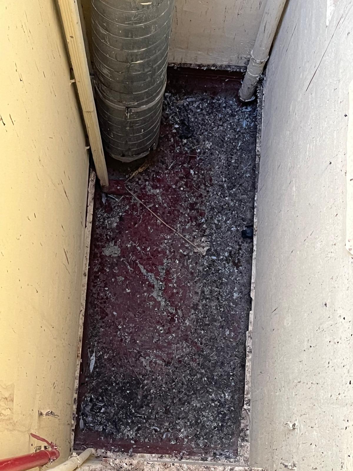 Limpieza de suelo de patios interiores . Limpiezas Norma