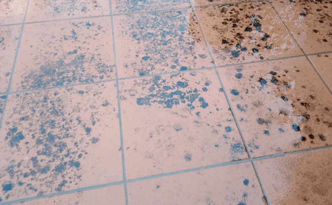 Empresa limpieza pavimentos de exterior