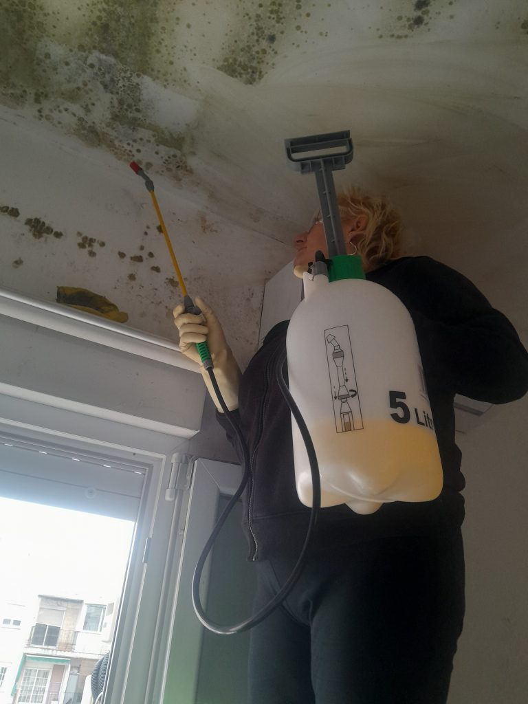 LIMPIEZA DE TECHOS CON MOHO . LIMPIEZAS NORMA