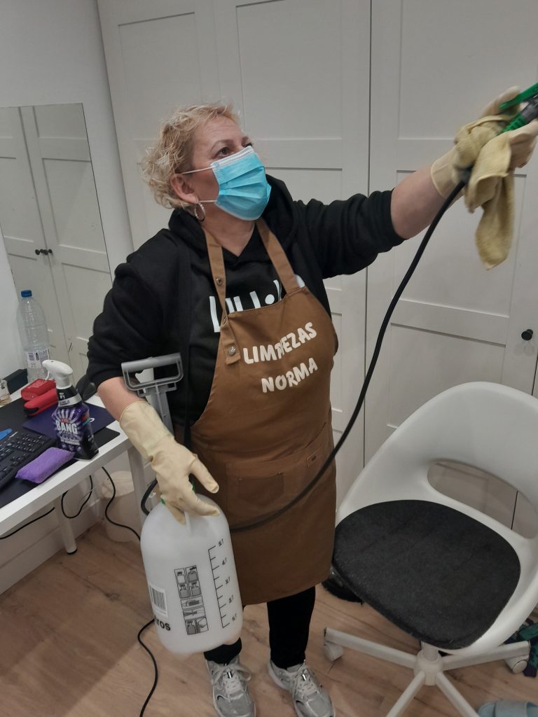 Desinfeccion profesional de zonas con moho